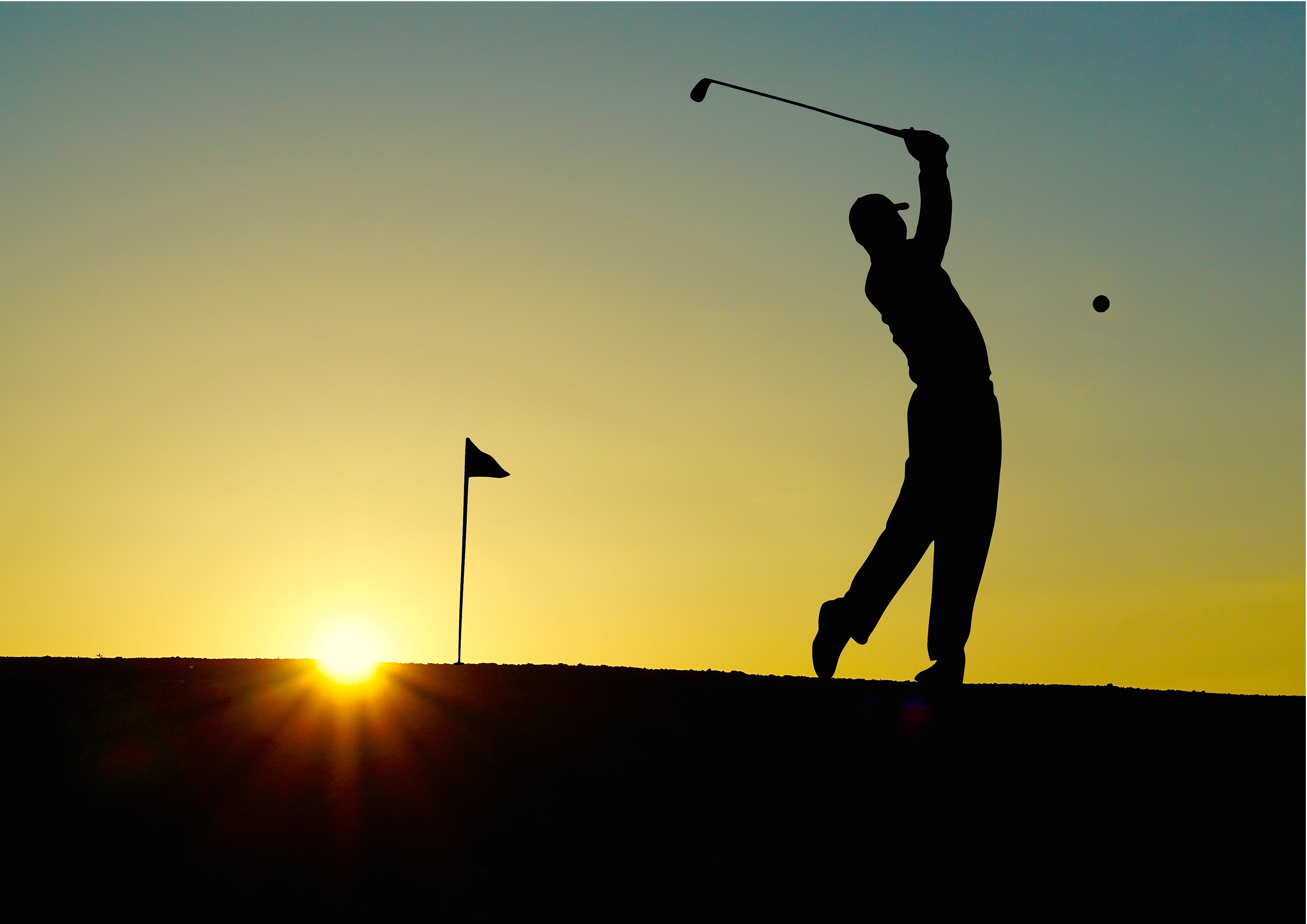What sport do you enjoy. Golf. Гольф спорт. Гольф картинки. Гольфист со спины.