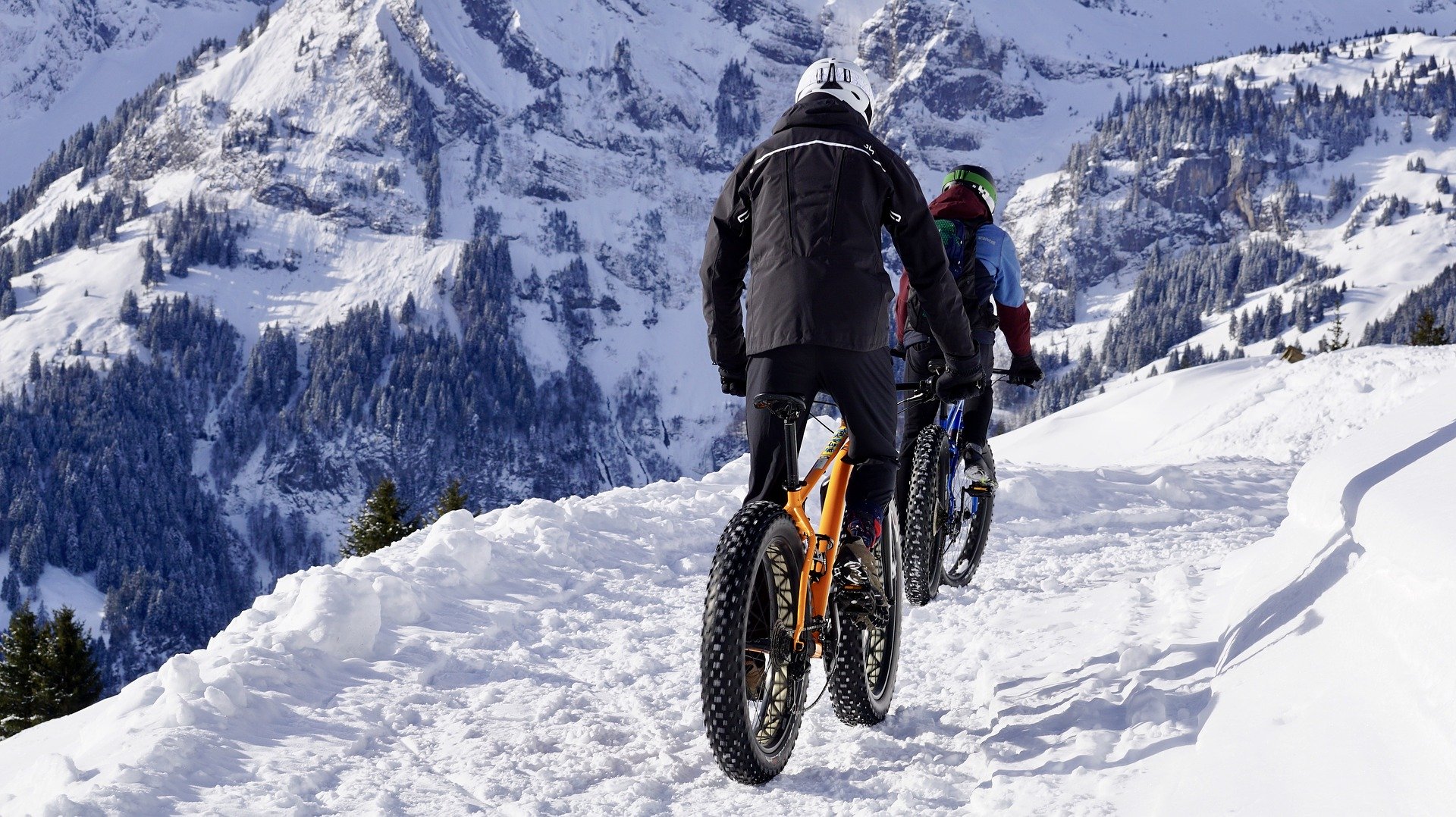 fatbiking is just one of the best big bear activities