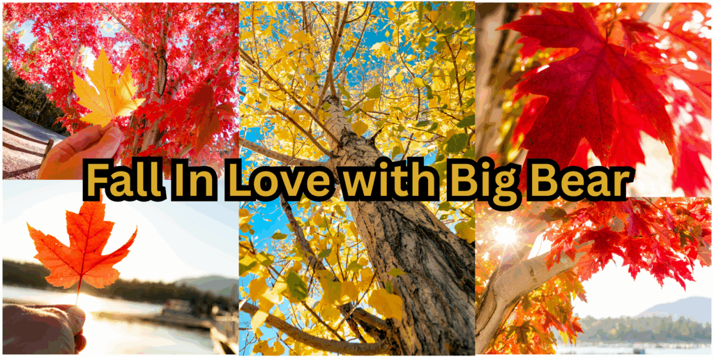 Fall Bucket List | Fall in Love with Big Bear | Big Bear Vacations